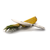 Set Promotional ARCOS "RIVIERA BLANC": Cutitul Bucatarului 200mm, Cutit pentru Fileuri 20cm, Cutit Santoku 180mm, Cutit de decojit 100mm